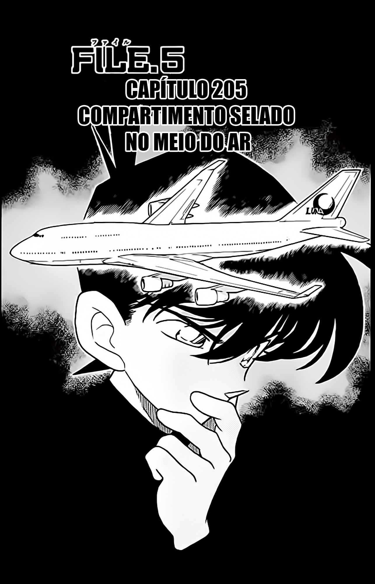 Capítulo 205