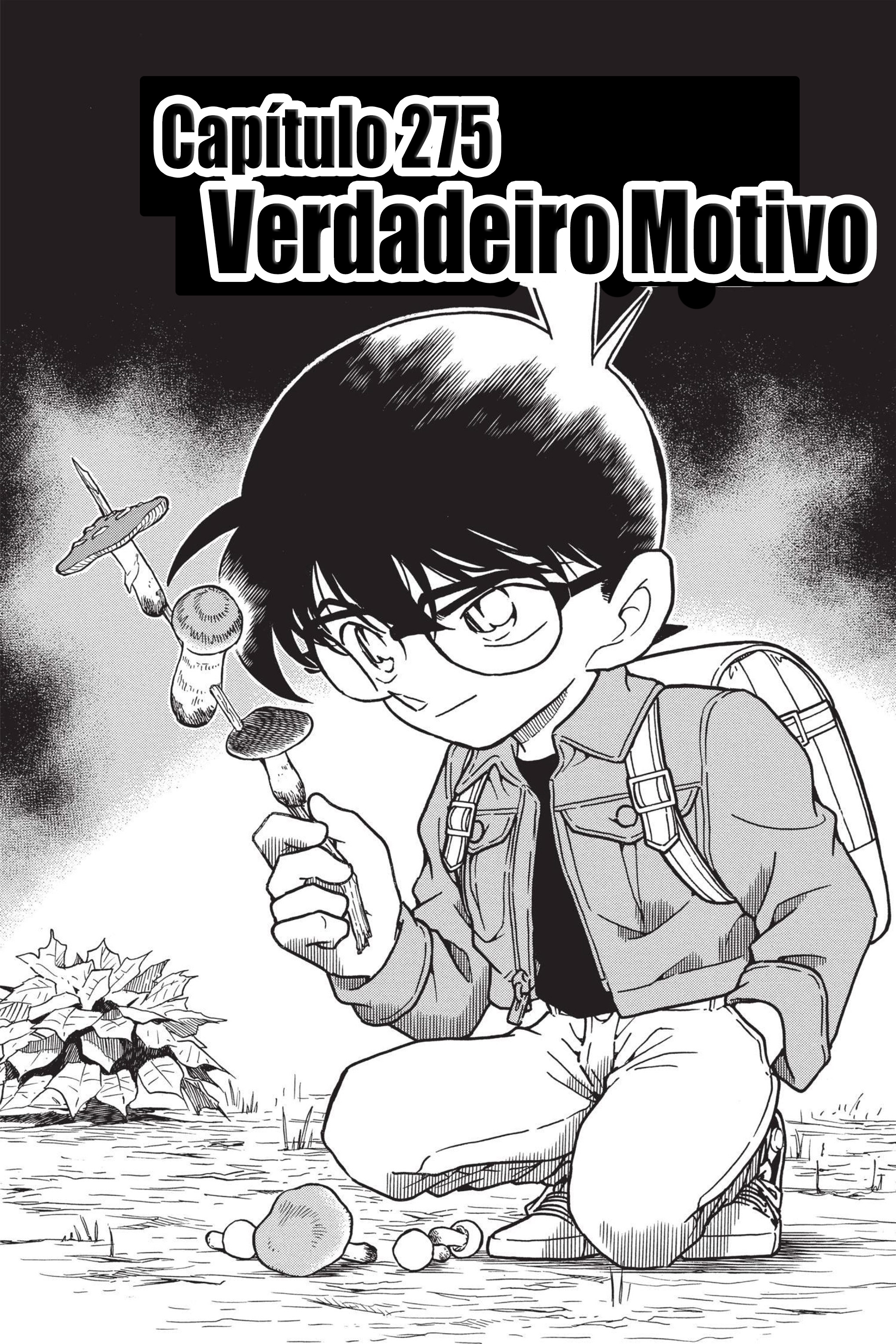 Capítulo 275 — Verdadeiro Motivo