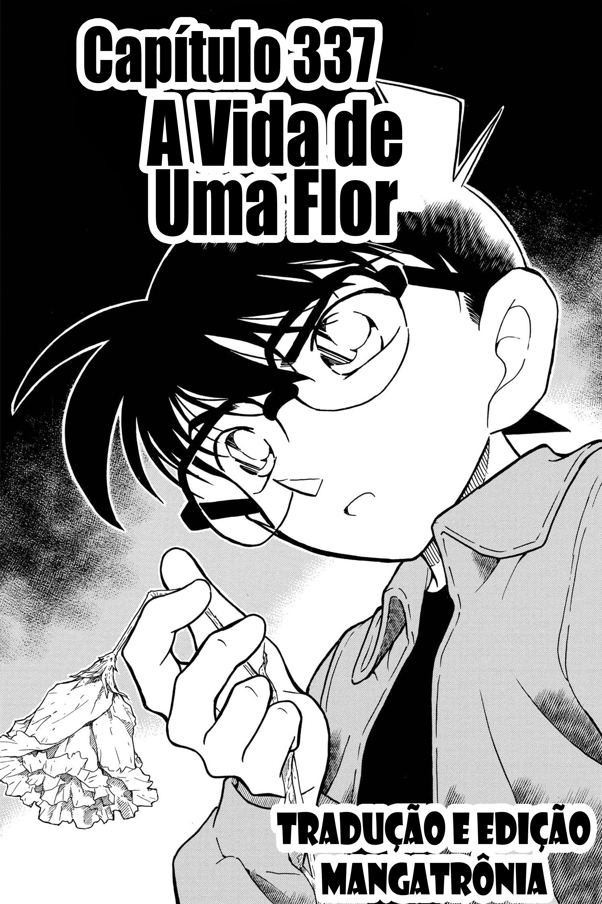 Capítulo 337 — A Vida de Uma Flor